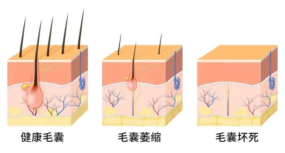 微信图5045